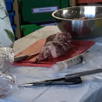 We had a particularly gruesome ending to the week this week!