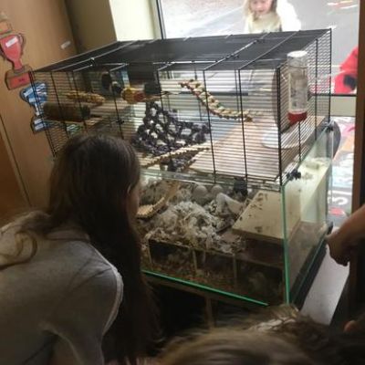 Kingfisher were very excited at the end of this week for two new starters in the class