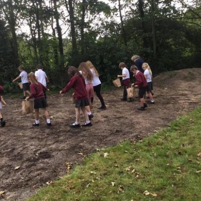 This week,  Kingfisher really enjoyed our 'Sing and Sow' workshop.